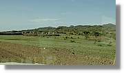2-Turkana_190.jpg