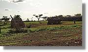 2-Turkana_191.jpg