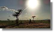 2-Turkana_197.jpg
