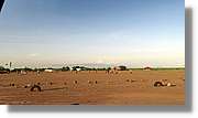 2-Turkana_241.jpg