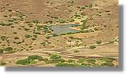 2-Turkana_267.jpg