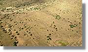 2-Turkana_268.jpg