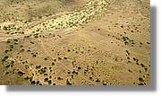 2-Turkana_269.jpg