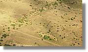 2-Turkana_271.jpg