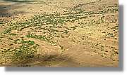 2-Turkana_275.jpg