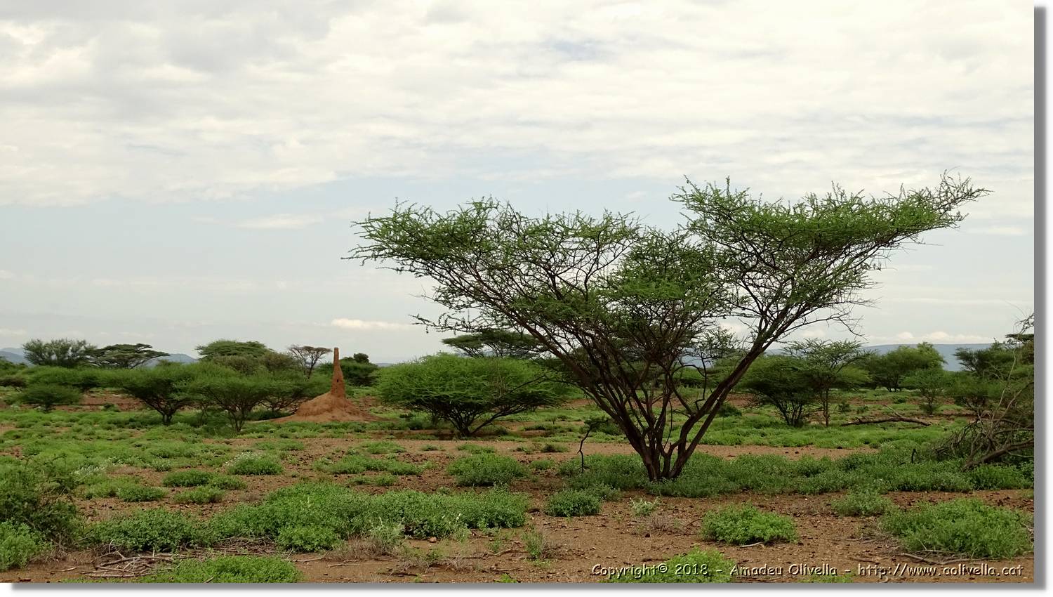 3-Turkana_008.jpg