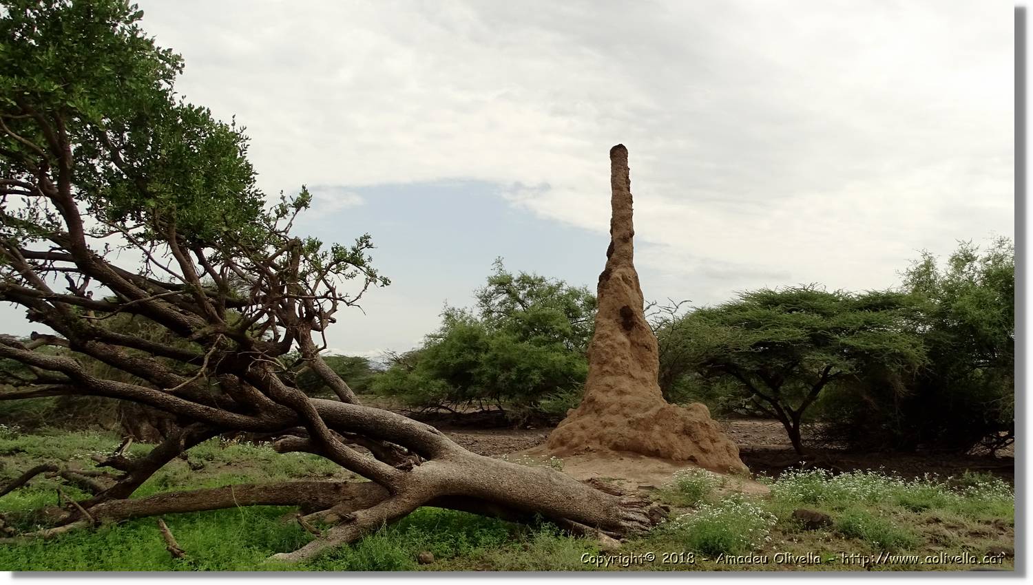 3-Turkana_009.jpg