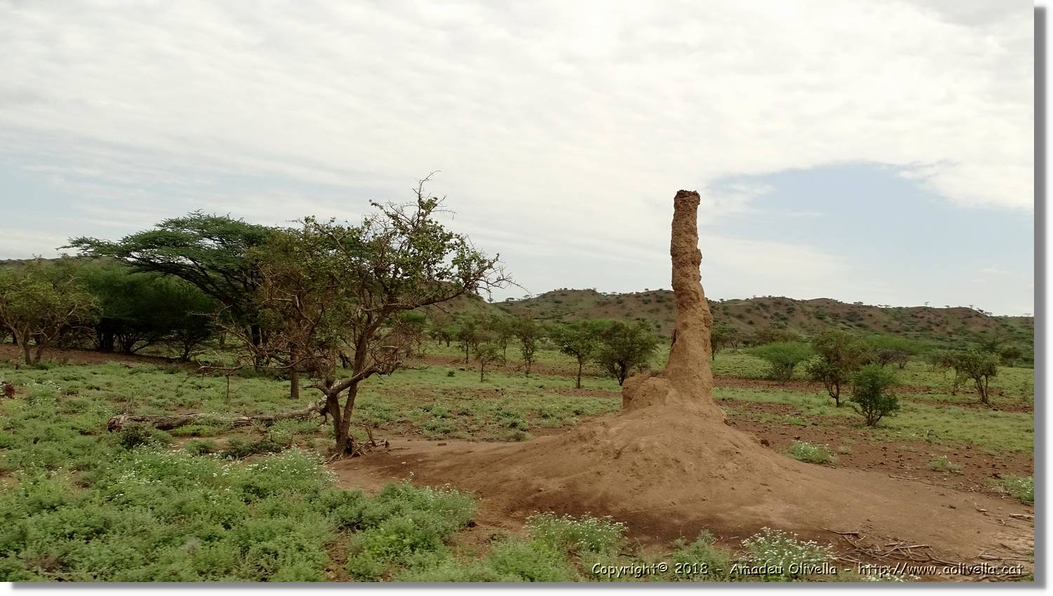 3-Turkana_010.jpg