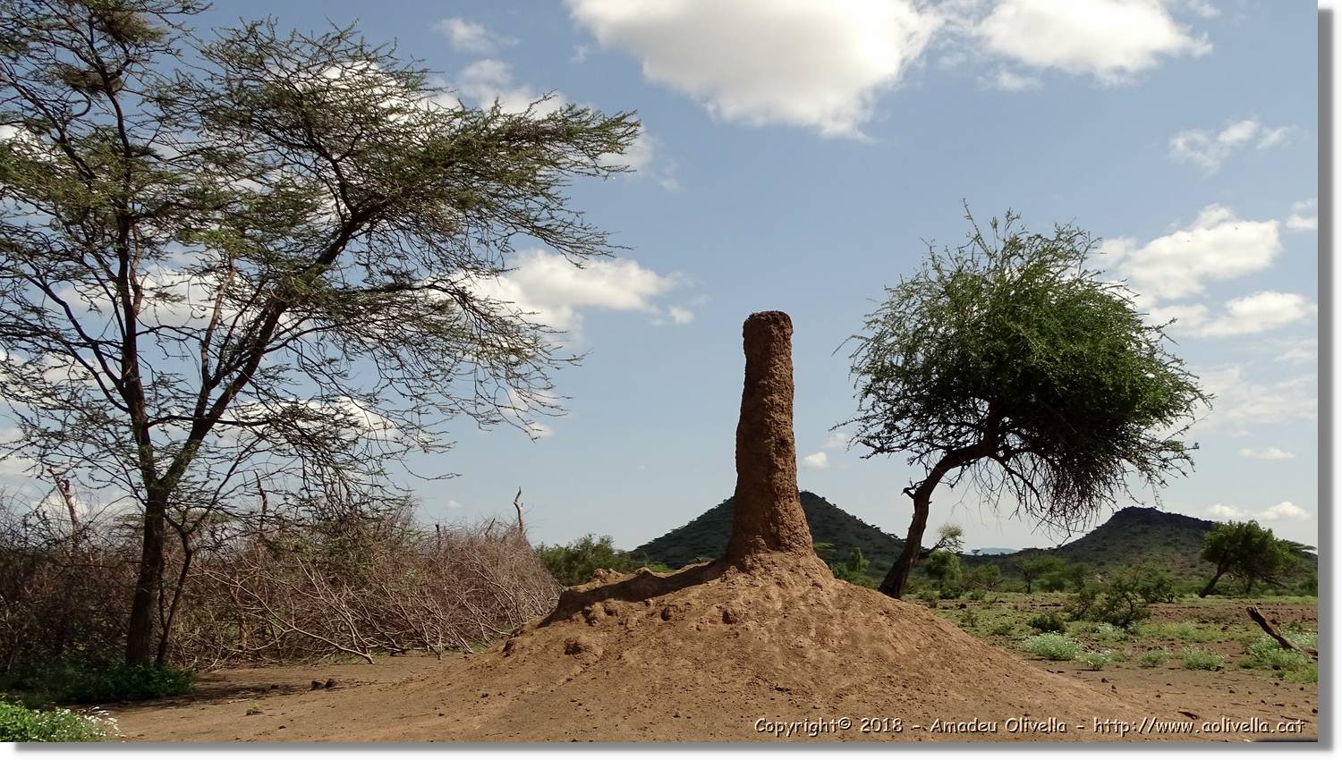 3-Turkana_015.jpg