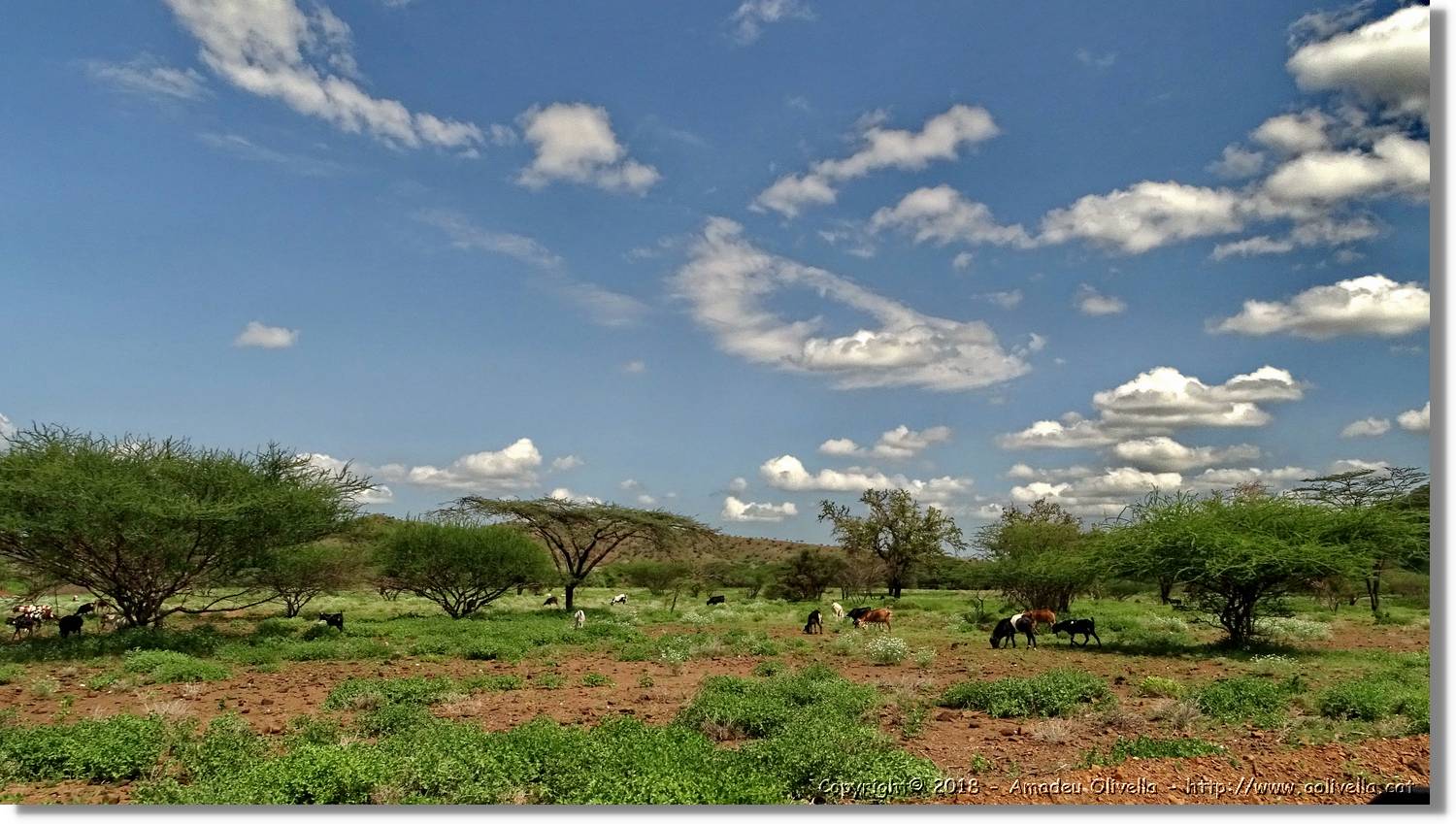3-Turkana_016.jpg