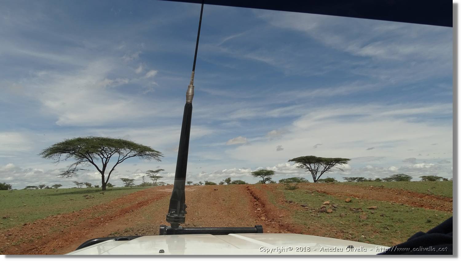 3-Turkana_036.jpg