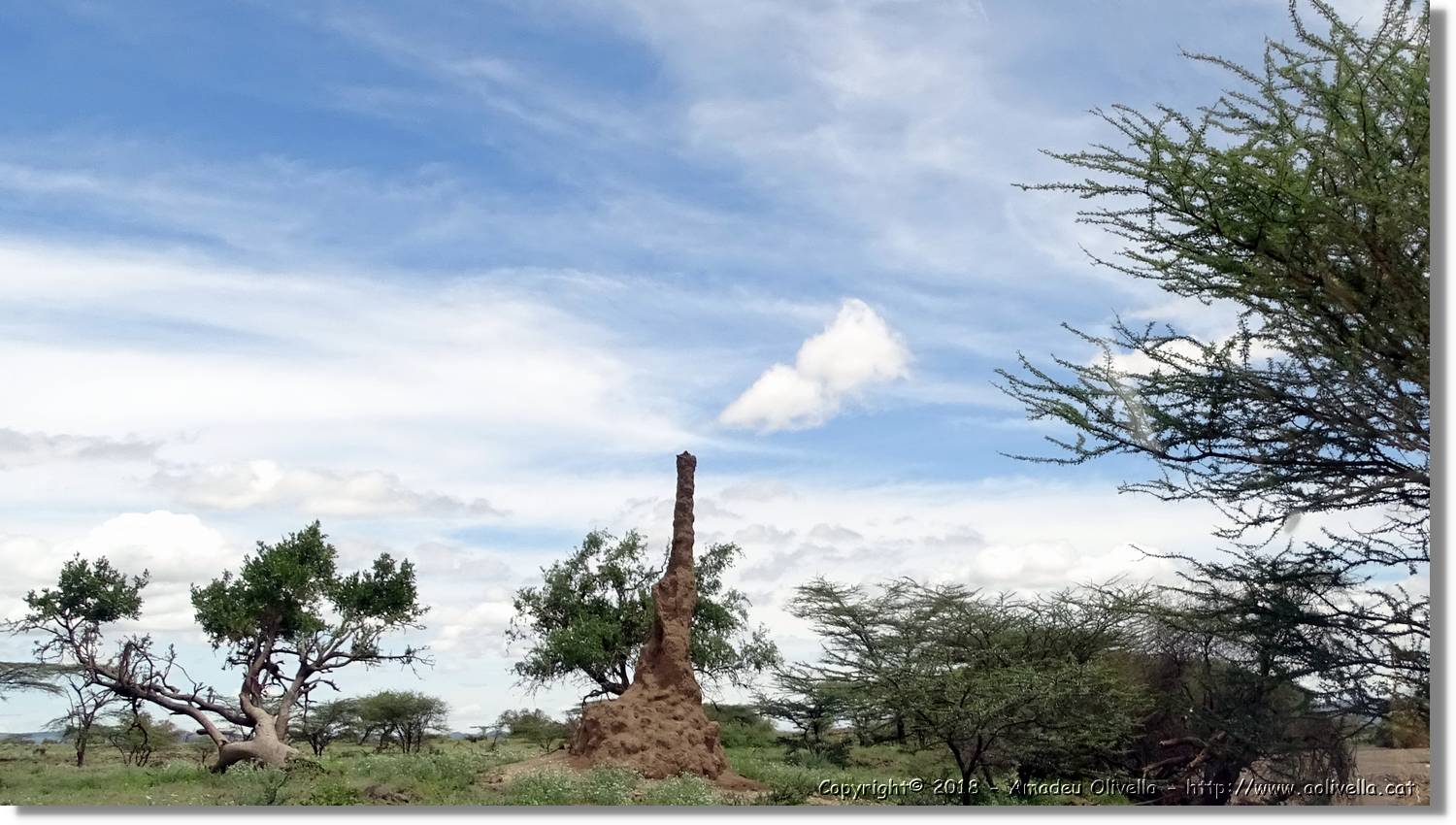 3-Turkana_050.jpg