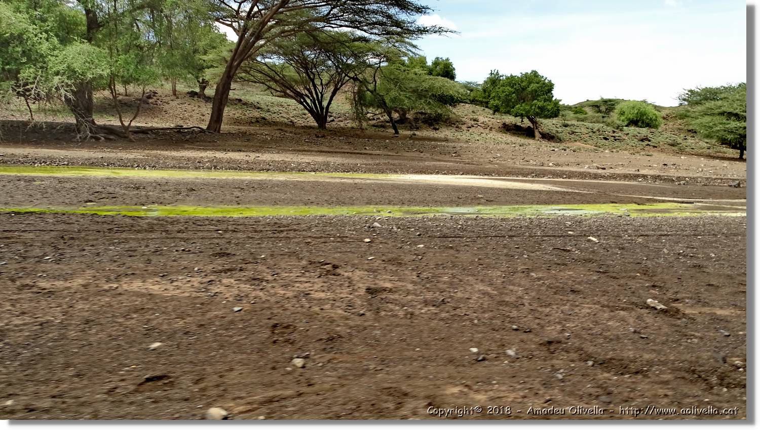 3-Turkana_064.jpg