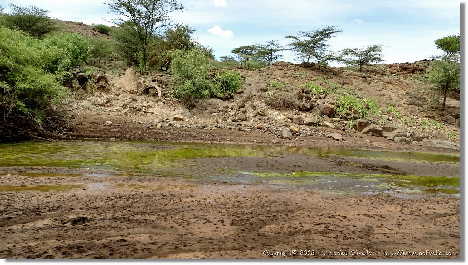 3-Turkana_066.jpg