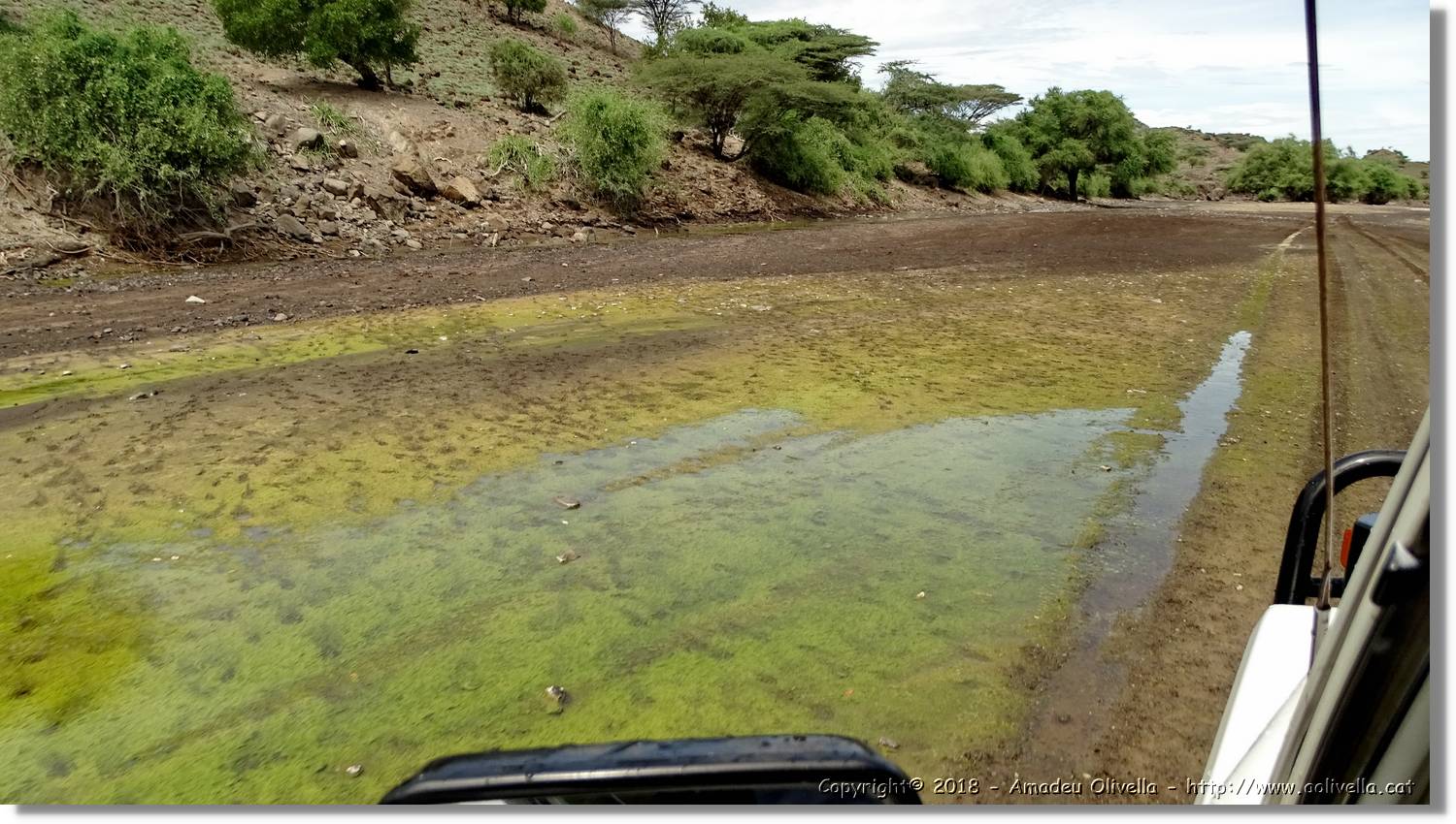 3-Turkana_067.jpg