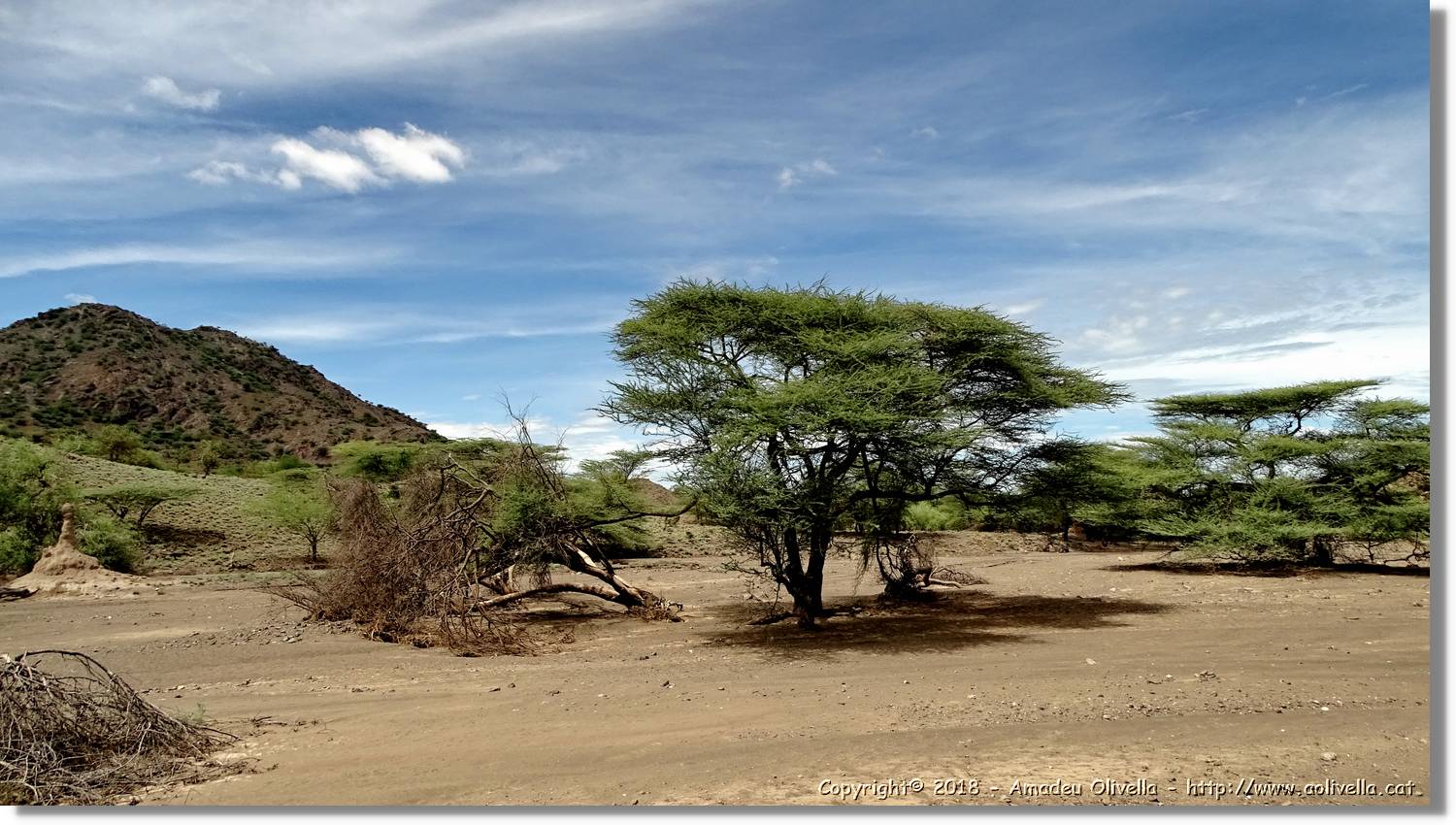 3-Turkana_068.jpg