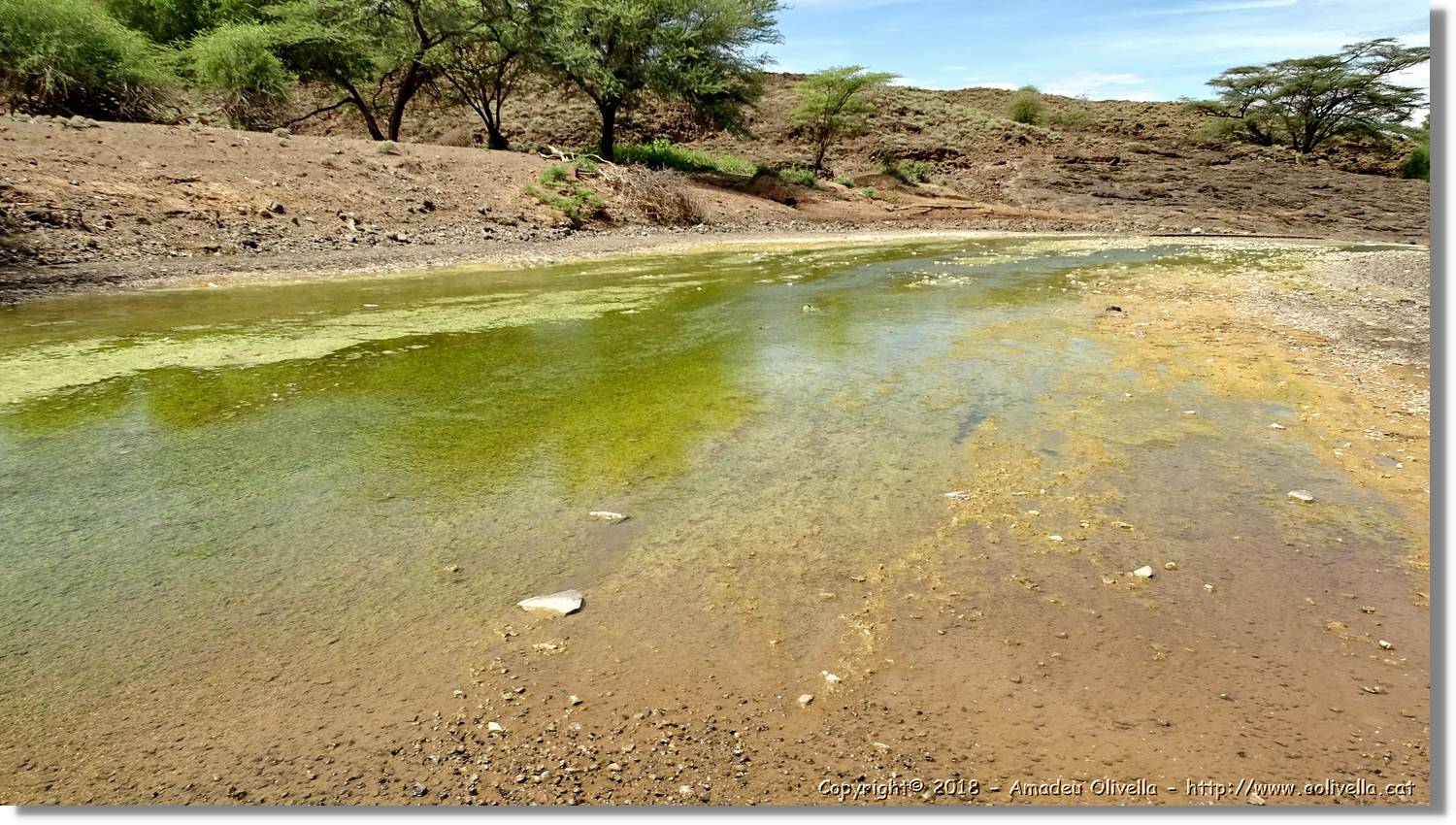 3-Turkana_070.jpg