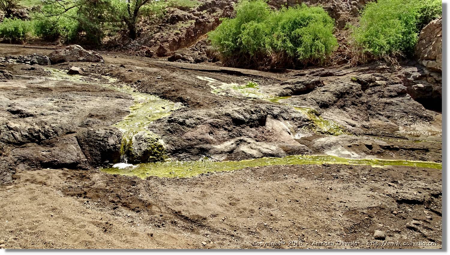 3-Turkana_074.jpg