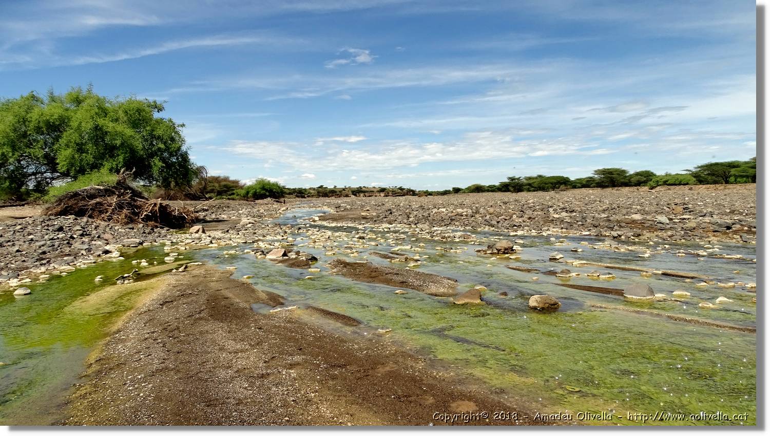 3-Turkana_082.jpg