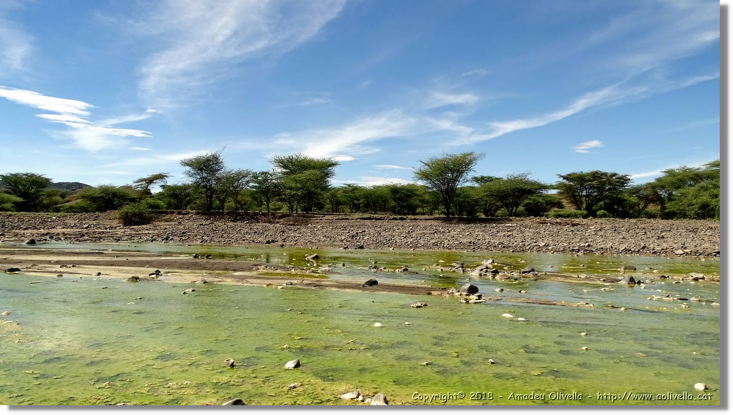 3-Turkana_084.jpg