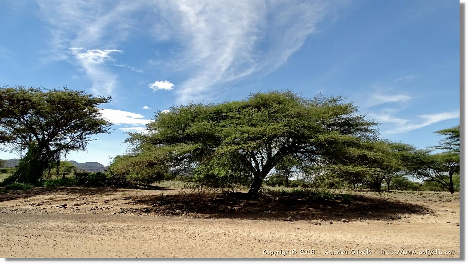 3-Turkana_089.jpg