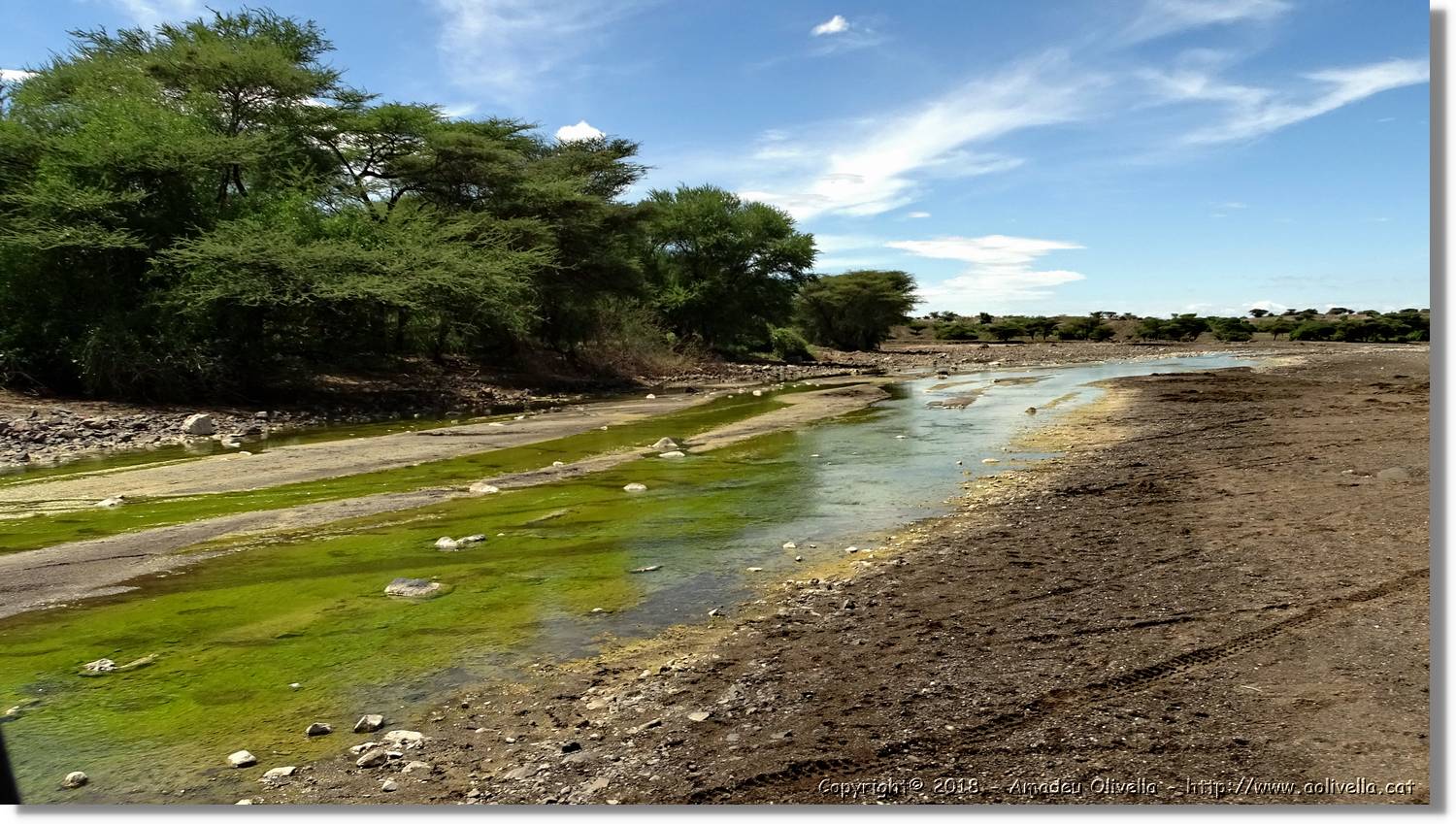 3-Turkana_095.jpg