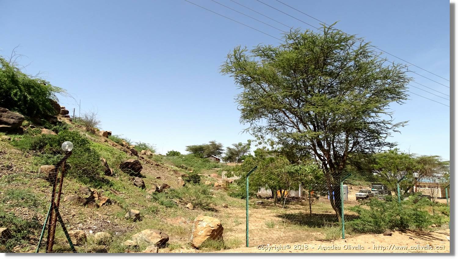 3-Turkana_132.jpg