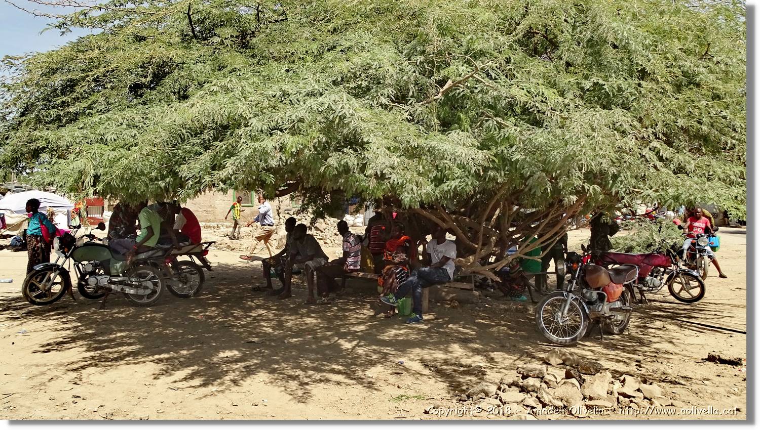 3-Turkana_141.jpg