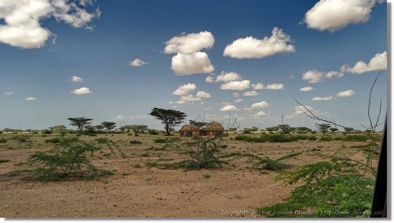 3-Turkana_155.jpg