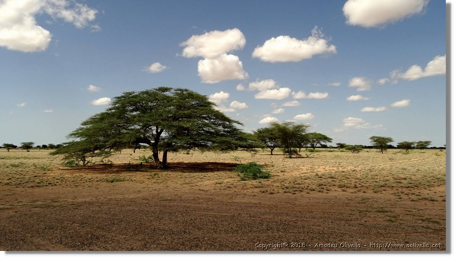 3-Turkana_156.jpg