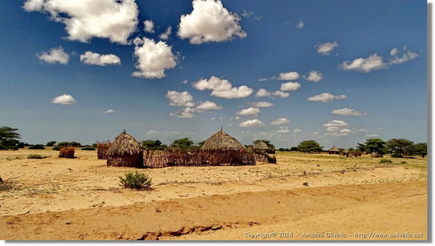 3-Turkana_160.jpg