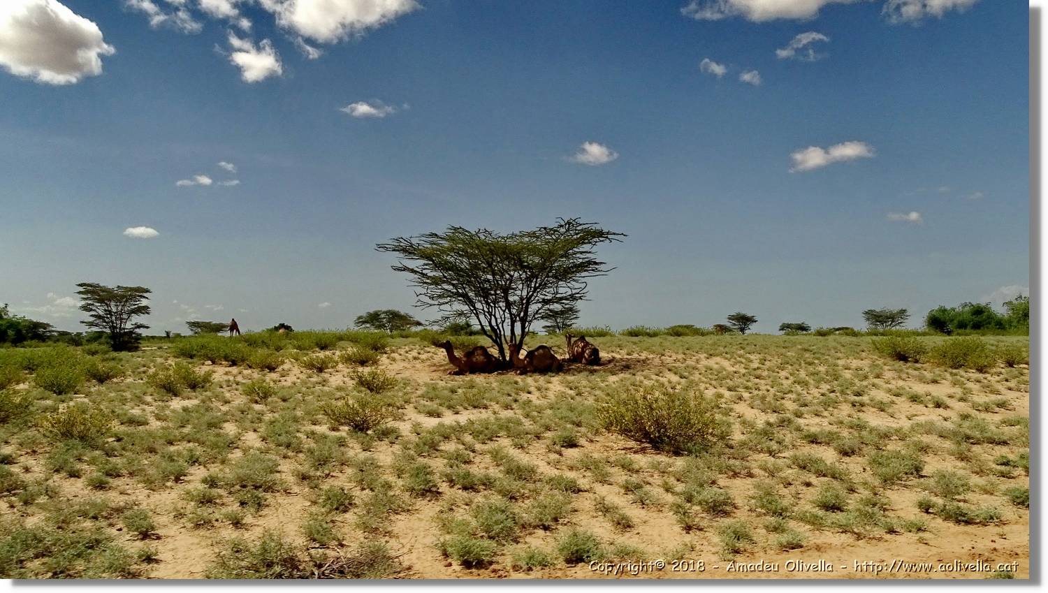 3-Turkana_162.jpg
