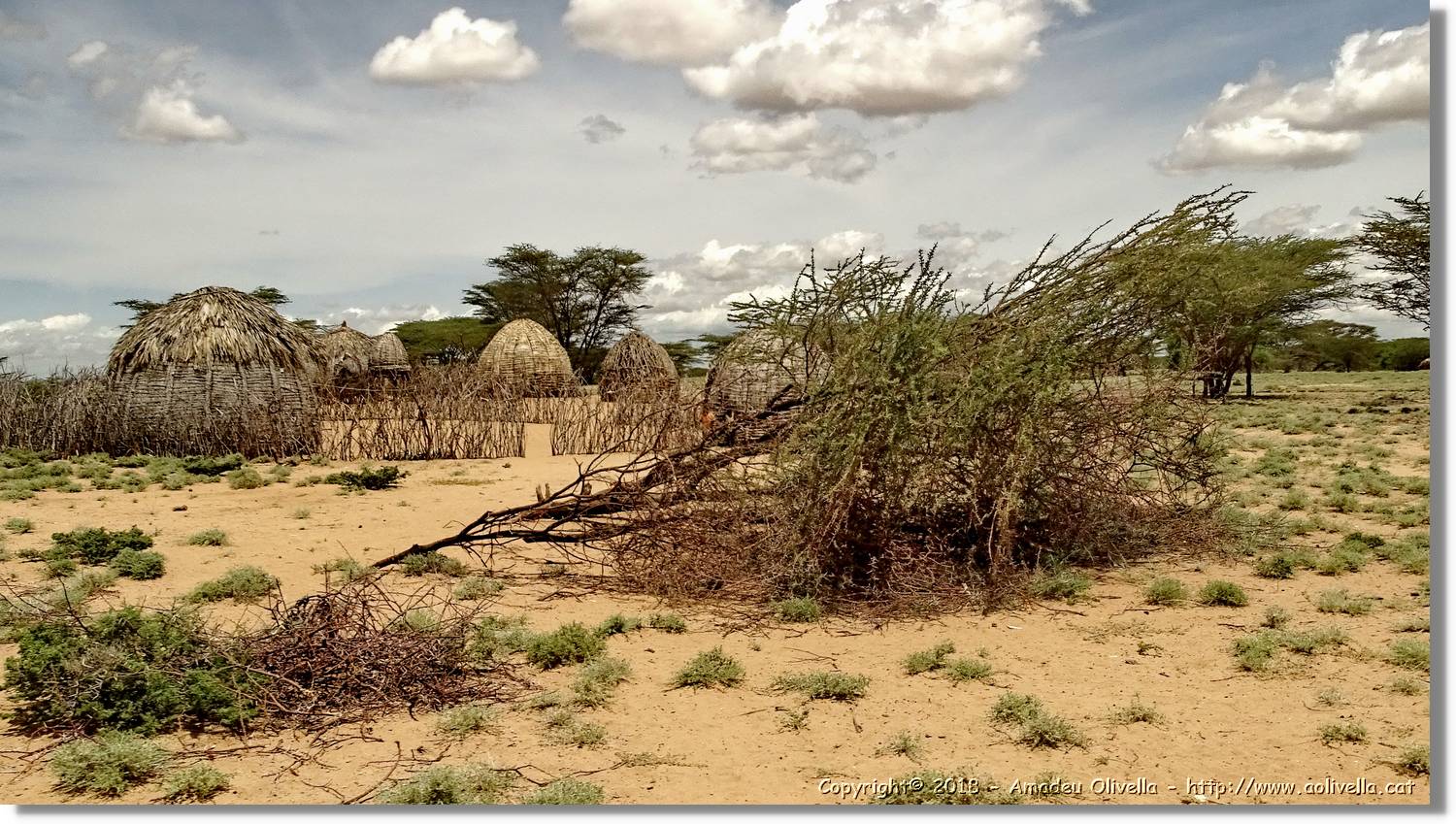 3-Turkana_175.jpg