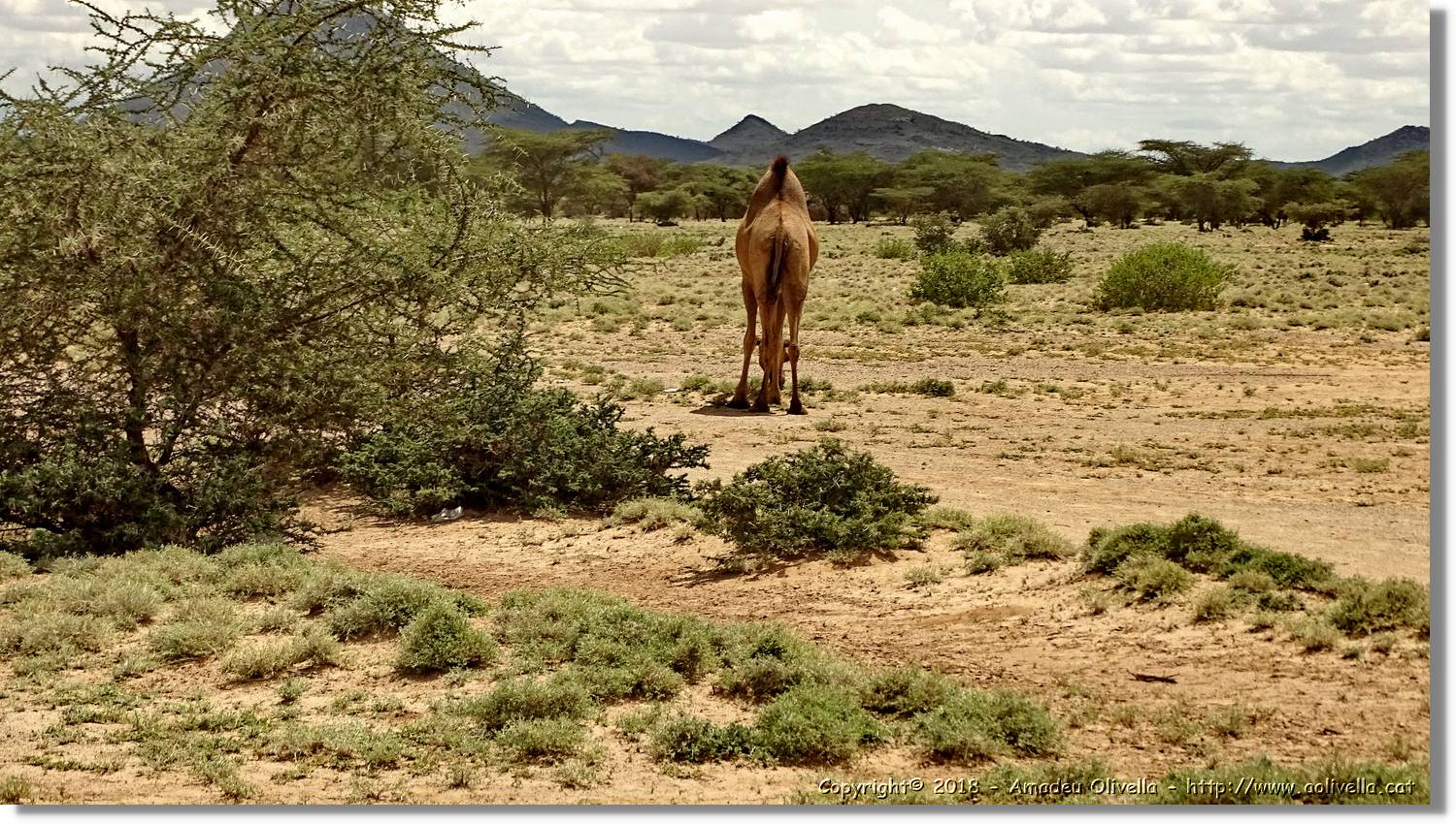3-Turkana_179.jpg