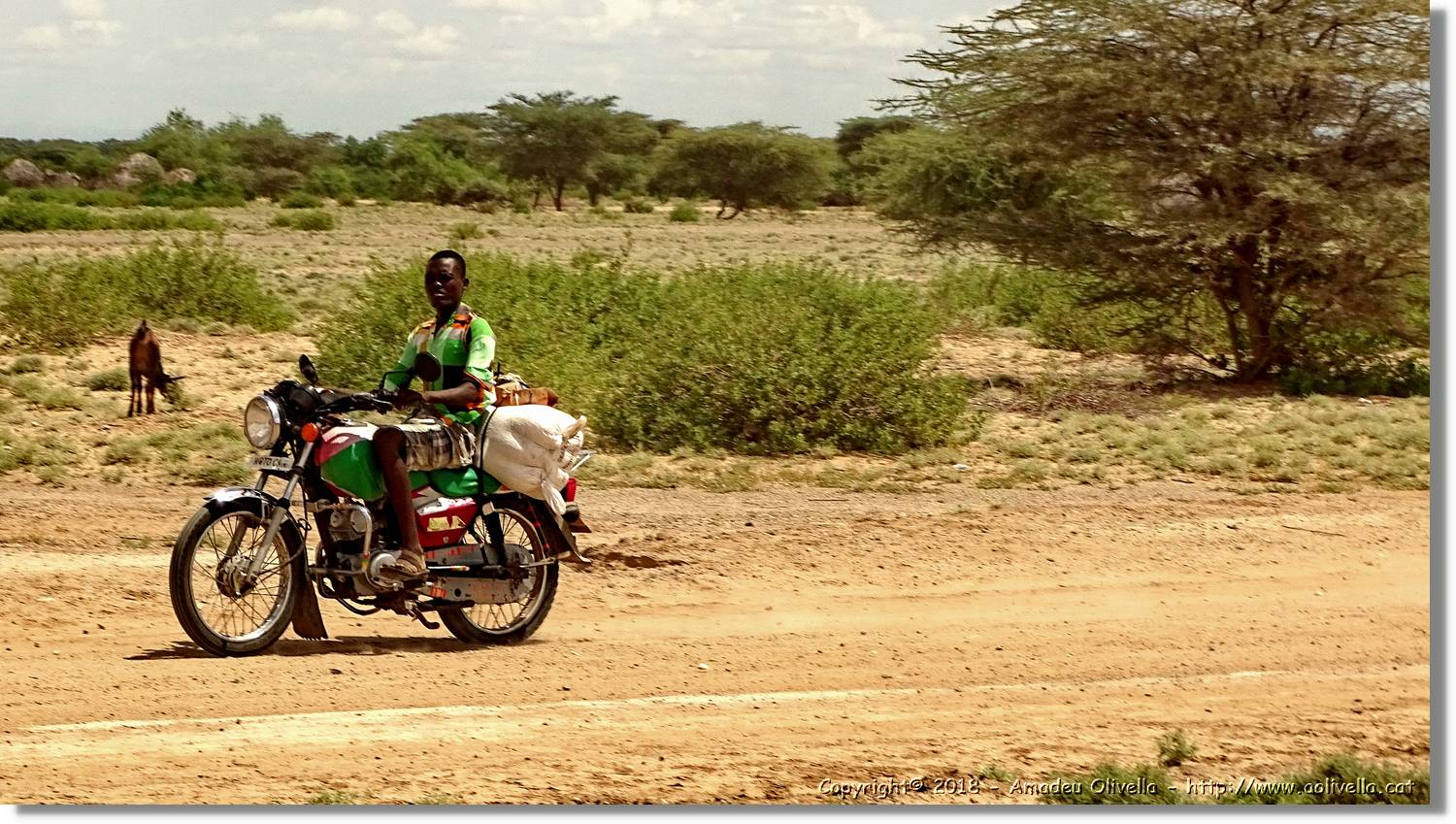 3-Turkana_181.jpg