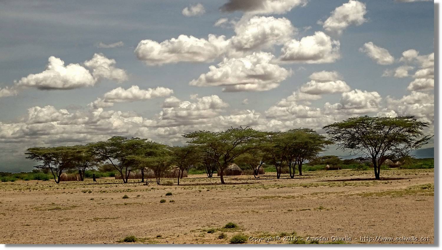 3-Turkana_183.jpg