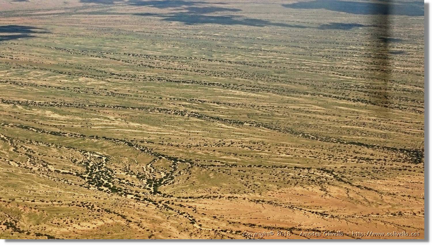 3-Turkana_210.jpg
