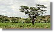 3-Turkana_002.jpg