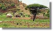 3-Turkana_006.jpg