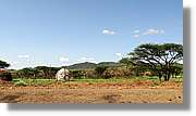 3-Turkana_024.jpg