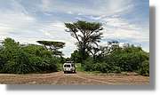 3-Turkana_031.jpg
