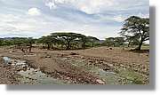3-Turkana_044.jpg
