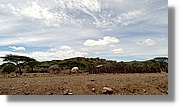 3-Turkana_053.jpg