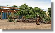 3-Turkana_054.jpg