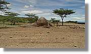 3-Turkana_059.jpg