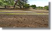 3-Turkana_064.jpg