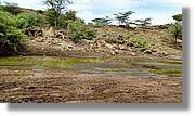 3-Turkana_066.jpg