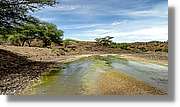 3-Turkana_069.jpg