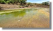3-Turkana_070.jpg