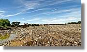 3-Turkana_083.jpg